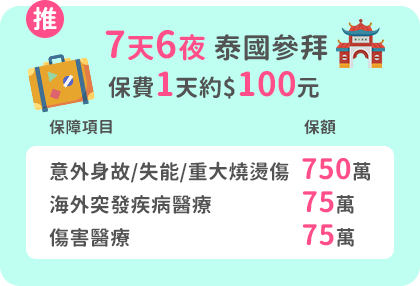 7天6夜，泰國參拜，保費1天約$100元