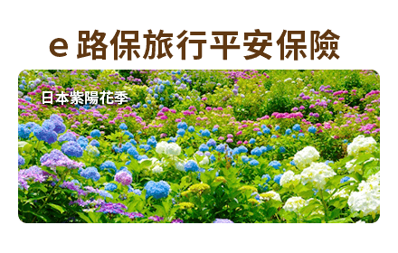 ｅ路保旅行平安保險