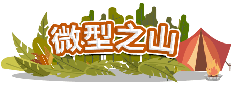 小額壽險之林