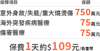投保範例：保費1天約$109元 