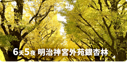 6天5夜 北海道楓紅季搶先開跑