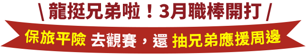 保旅平險去觀賽，還抽兄弟應援周邊