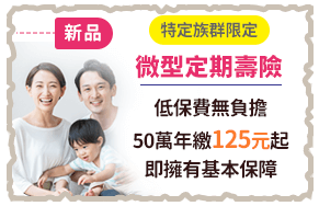 微型定期壽險