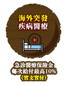 海外突發疾病醫療-急診醫療保險金，每次給付最高5%(實支實付)