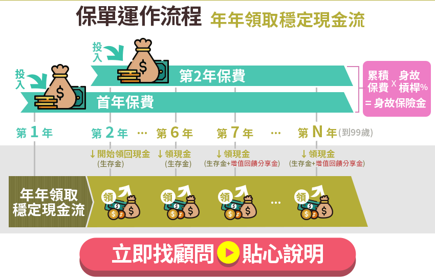 保單運作流程：年年領取穩定現金流--立即找顧問👆貼心說明