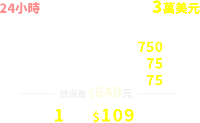 24小時海外急難救助，上限3萬美元：意外身故/失能/重大燒燙傷750萬元、海外突發疾病醫療75萬元、傷害醫療75萬元-總保費$649元，保費1天約$109元/新臺幣