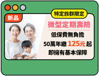 微型定期壽險