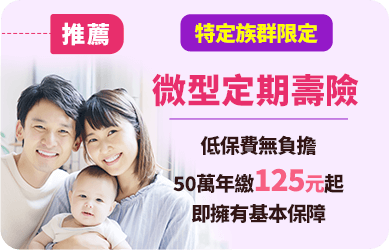 微型定期壽險