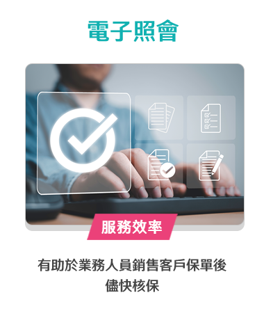 電子照會
