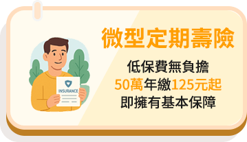 微型定期壽險