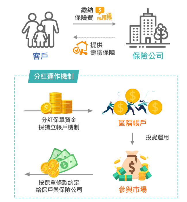 分紅保單運作流程說明 分紅保單運作流程說明