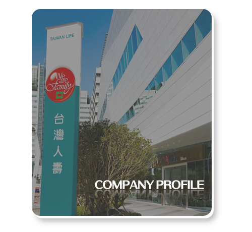 COMPANY PROFILE COMPANY PROFILE