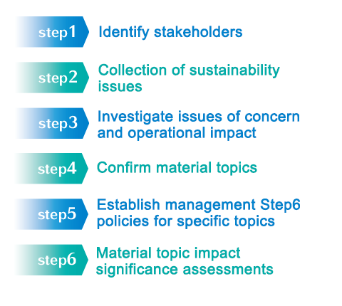 Materiality Analysis Process