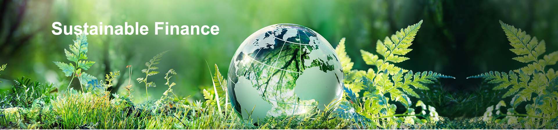 Sustainable Finance